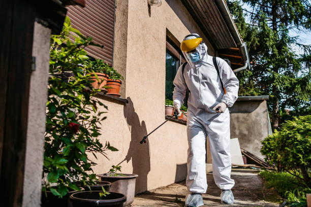 Best Cockroach Control Services  in Charlotte, MI