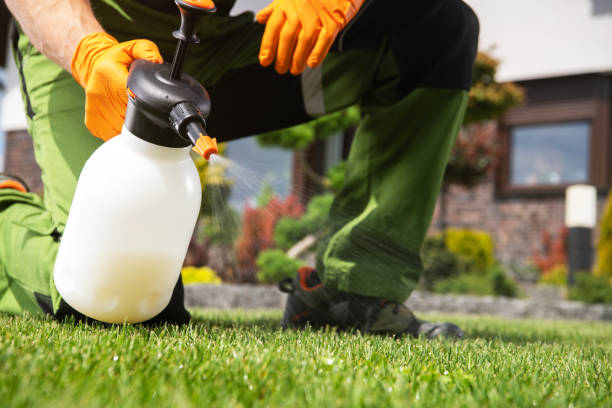 Best Insect Control  in Charlotte, MI