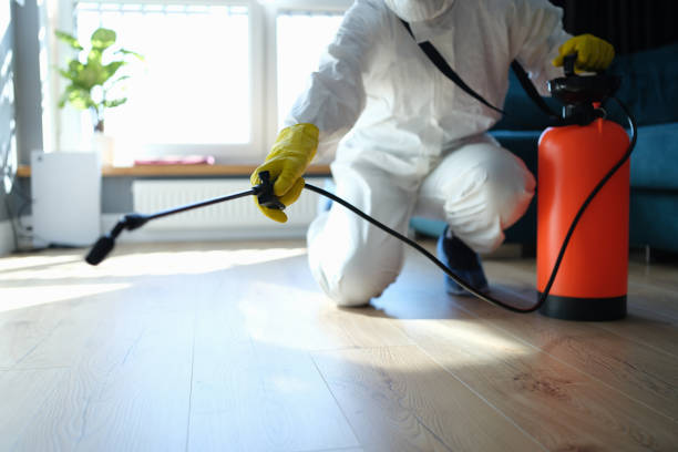 Flea Control Services in Charlotte, MI