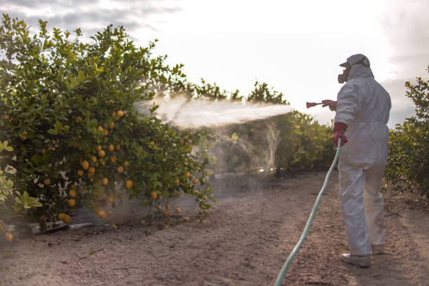Best Bed Bug Extermination  in Charlotte, MI