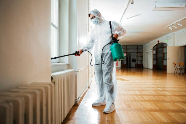 Best Termite Control Services  in Charlotte, MI