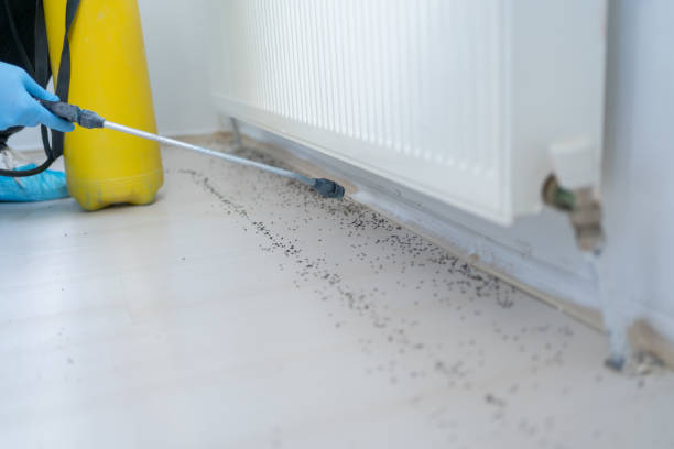 Best Insect Control  in Charlotte, MI