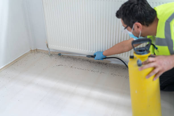 Best Residential Pest Control  in Charlotte, MI