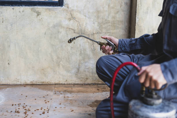 Best Best Pest Control Companies  in Charlotte, MI