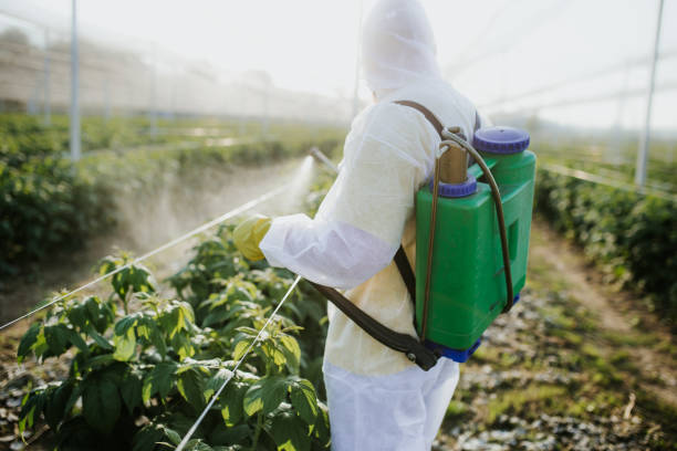 Best Mosquito Control Services  in Charlotte, MI